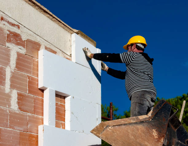 Best Eco-Friendly Insulation in Eldridge, IA