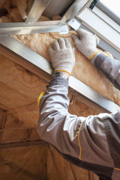 Best Geographic-Specific Insulation Services in Eldridge, IA