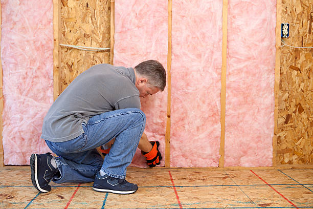 Best Residential Insulation in Eldridge, IA